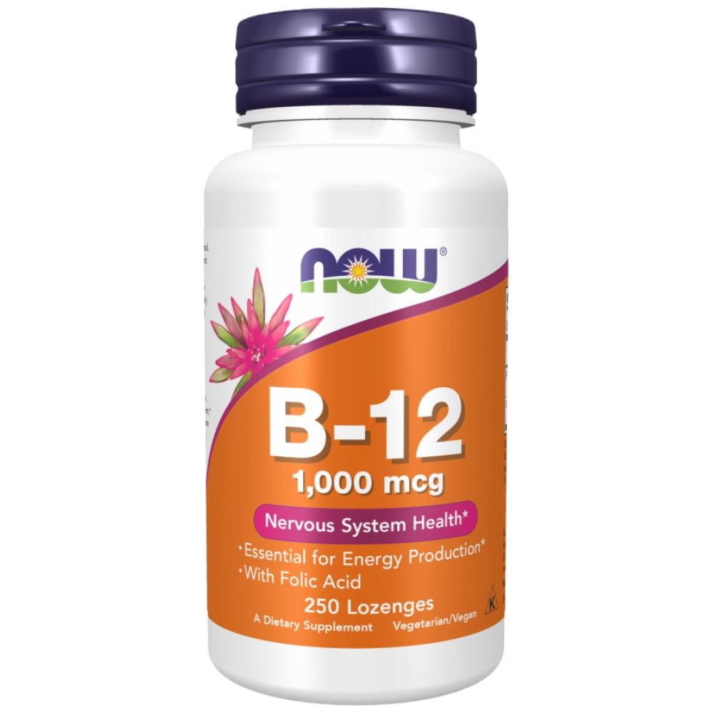 Vitamine B-12 1000 MCG | avec de l'acide folique - 250 comprimés sublinguaux