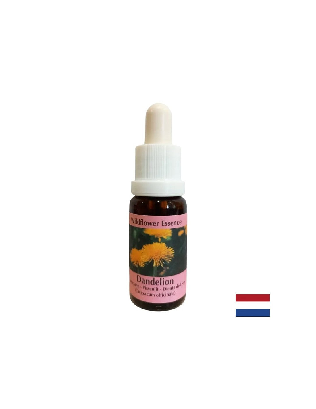 Supprime la tension des conflits - Essence de pissenlit n ° 11, baisse 15 ml