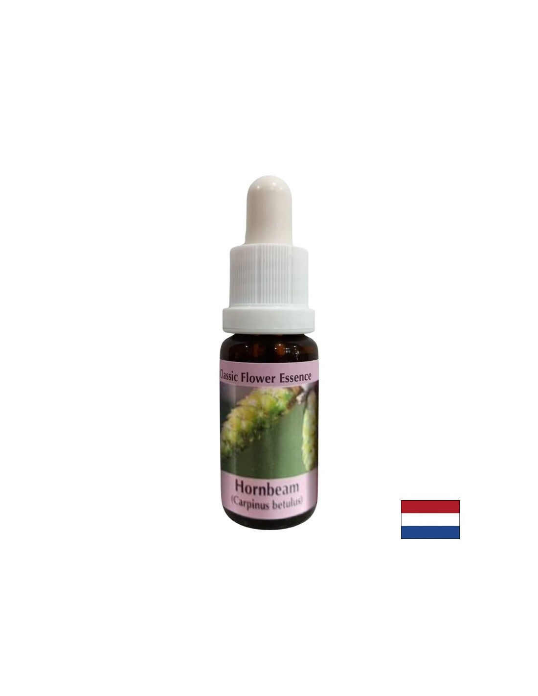 Pour plus d'énergie et de motivation - Hornbeam Essence No. 17, tombe 15 ml