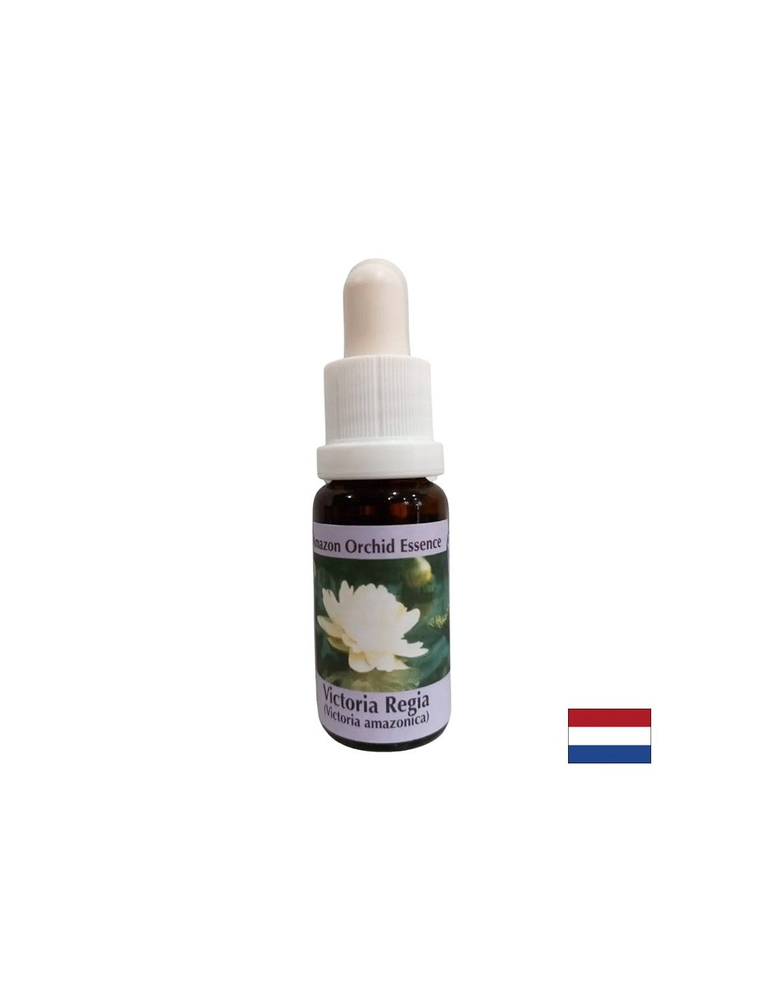 Pour la conscience spirituelle - Victoria Regia Essence n ° 20, 15 ml de gouttes
