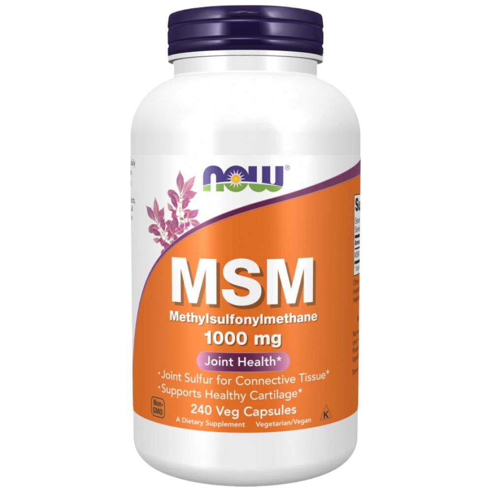 MSM 1000 mg - 240 capsules
