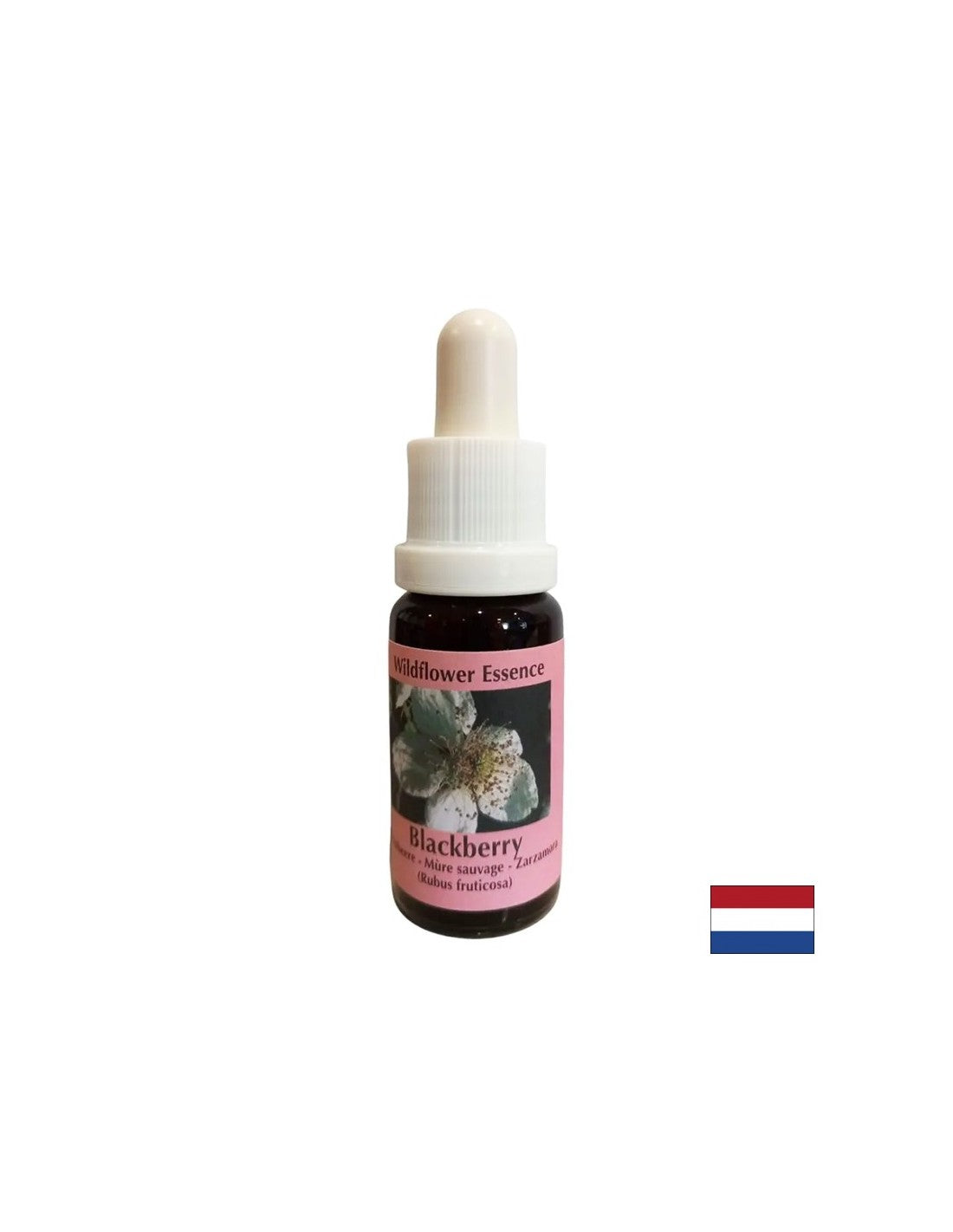 Stimule la vitalité et active la créativité - BlackBerry Essence n ° 22, laisse tomber 15 ml