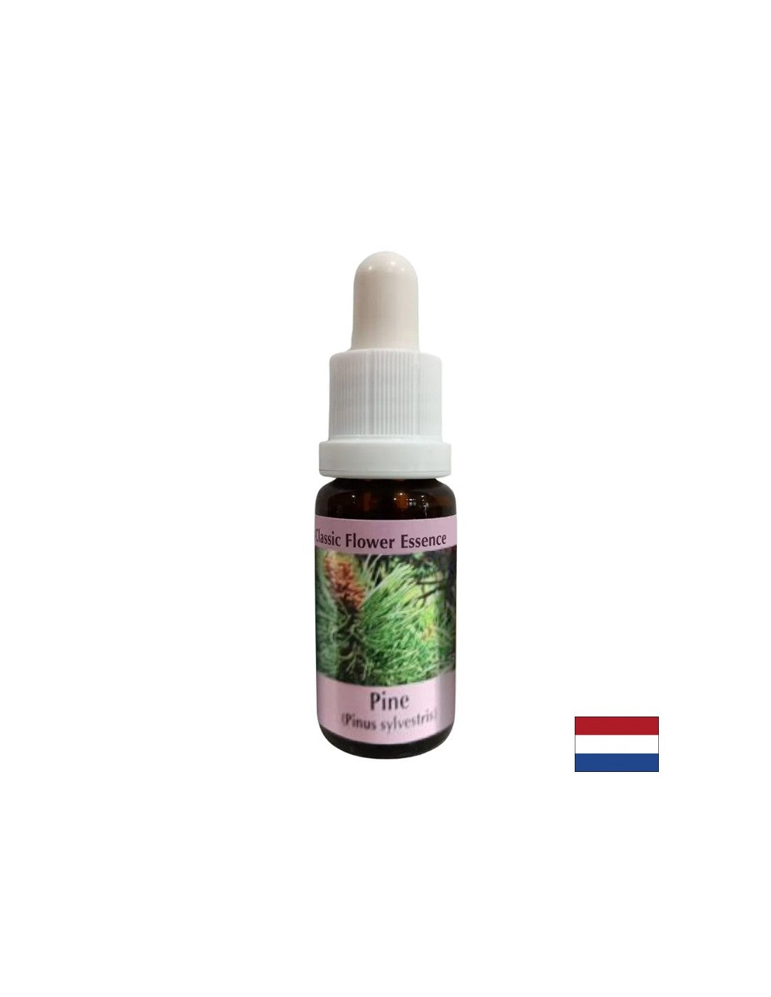 Lorsque vous vous sentez coupable - Essence Boron No. 24, laisse tomber 15 ml