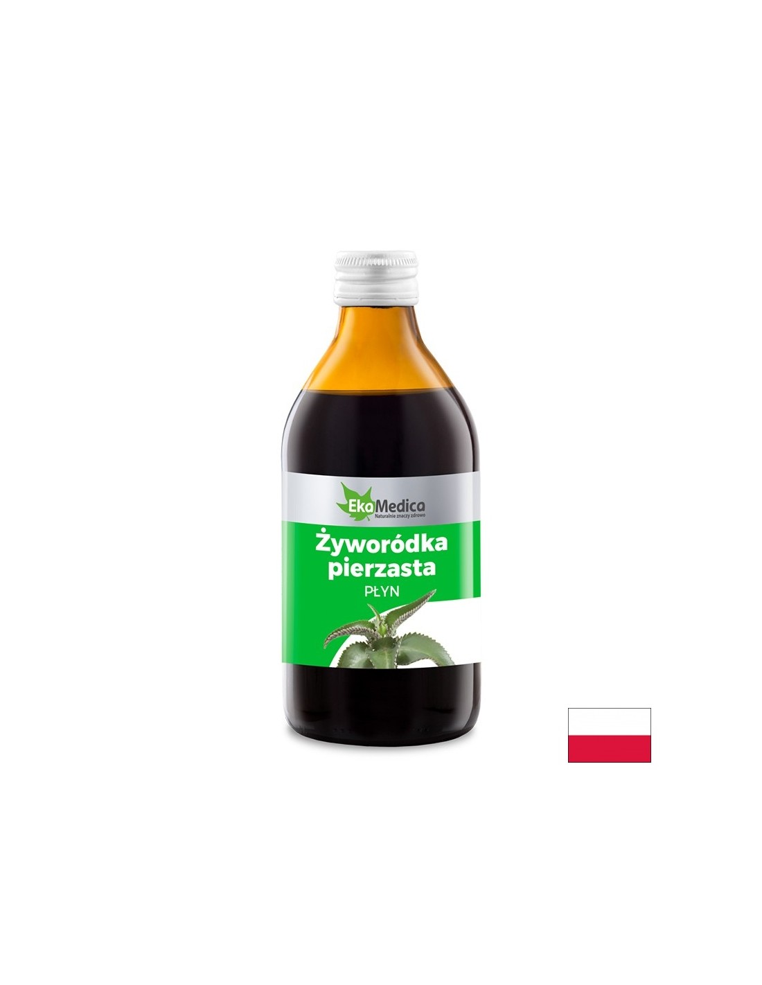 Tonique avec du kalanchoe pour les cheveux sains et beaux - apaise le cuir chevelu et renforce les cheveux, 250 ml, 10 applications