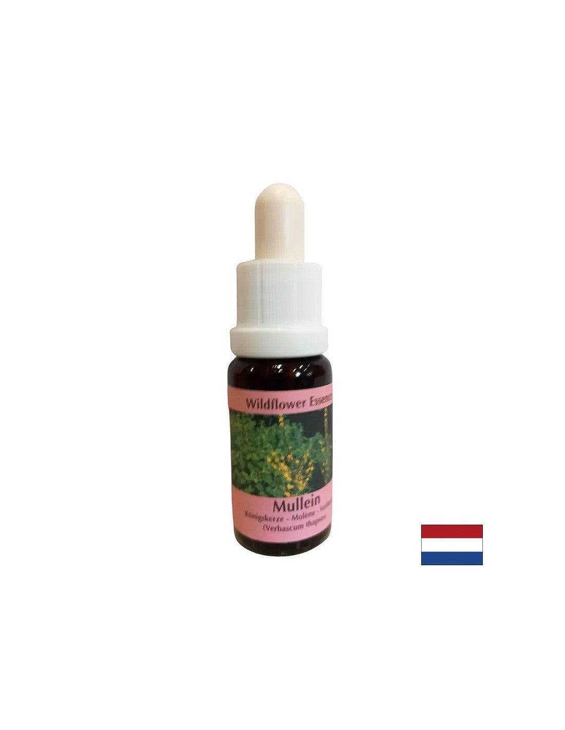 Soutient le travail d'équipe et la créativité - Lopen Essence n ° 29, laisse tomber 15 ml