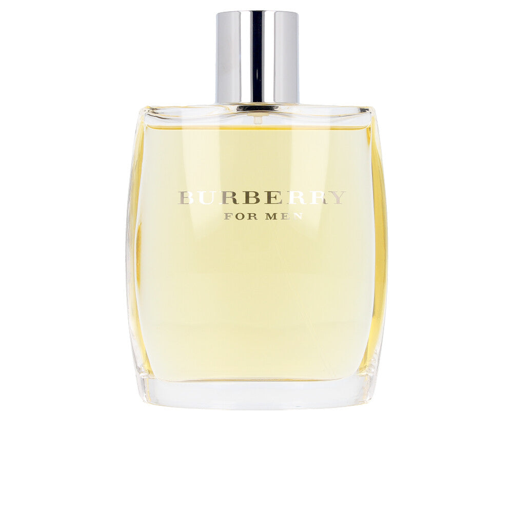 <tc>BURBERRY</tc> Spray Homme 100 ml