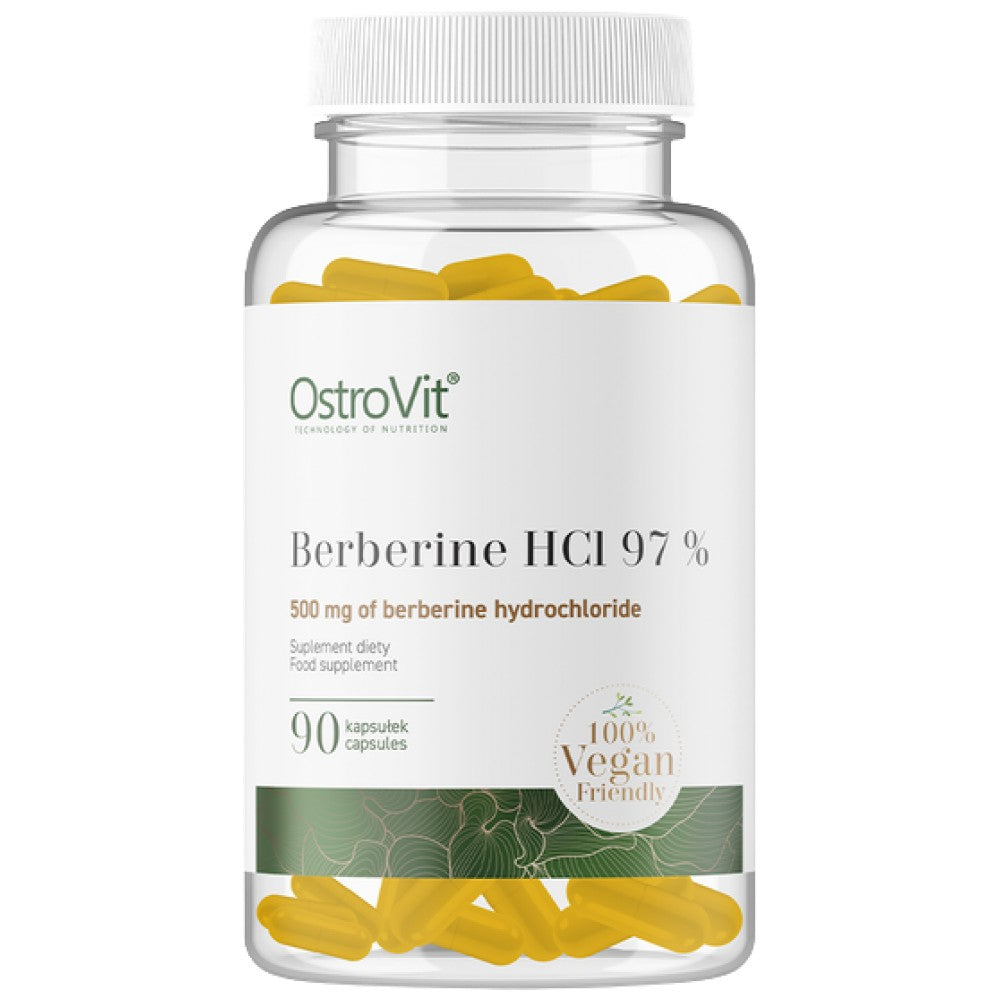 Berberine HCL 500 mg | 97% Berberis Root Extrait 90 capsules