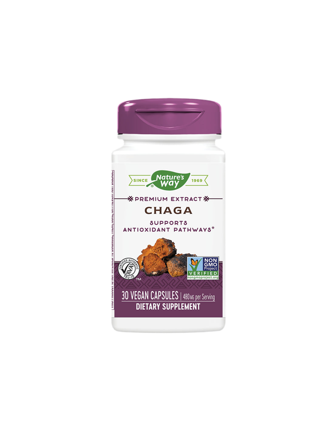 Chaga/chaga 480 mg x 30 capsules de la nature