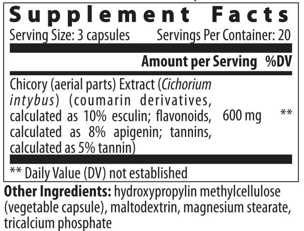 Chicorée - 60 capsules