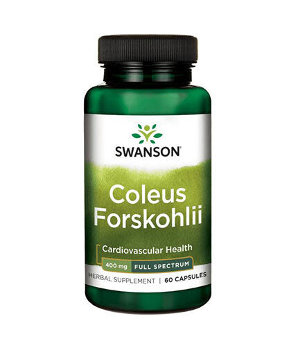 Coleus Forskohlii/Forskolin 400 mg - 60 capsules