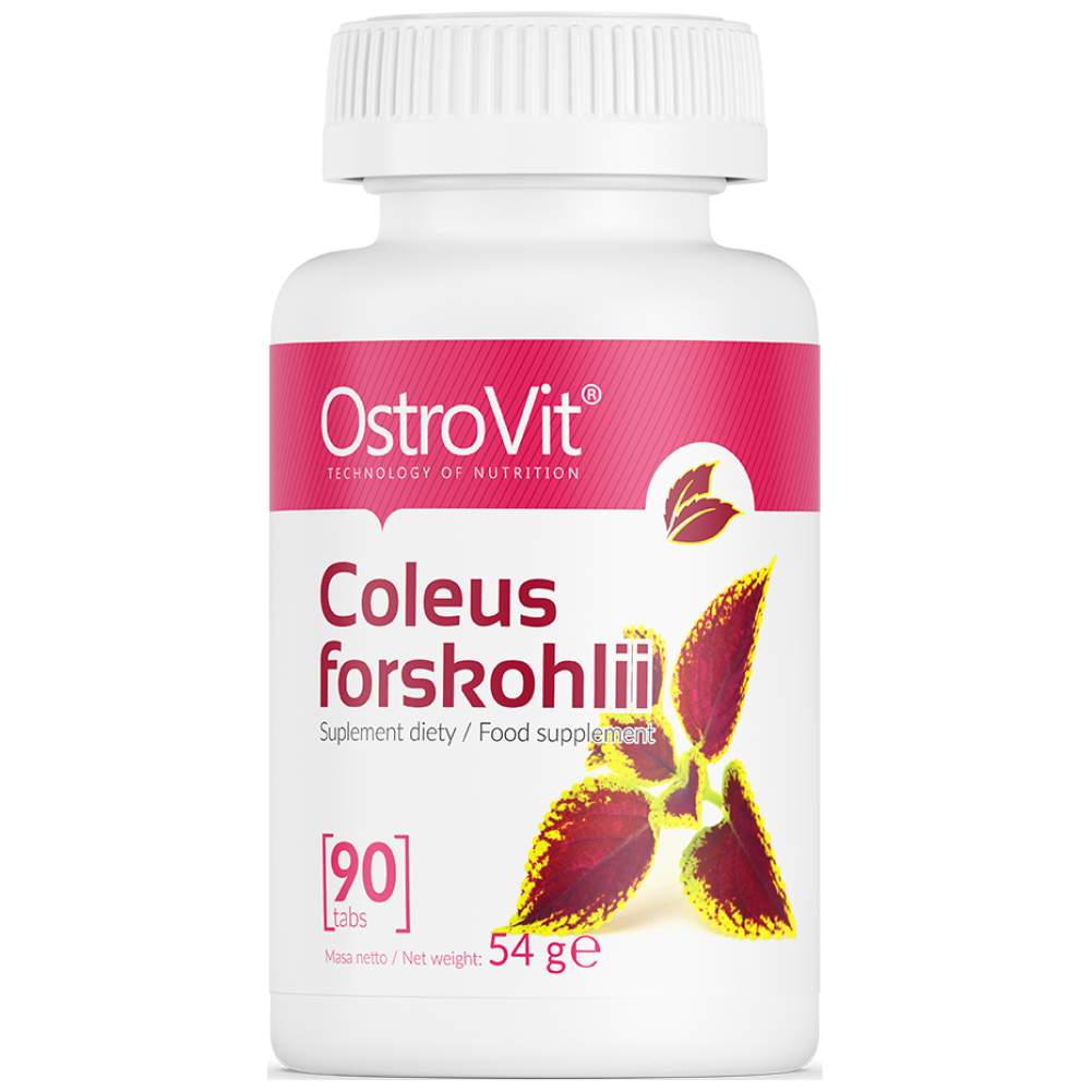 Coleus Forskohlii 90 comprimés