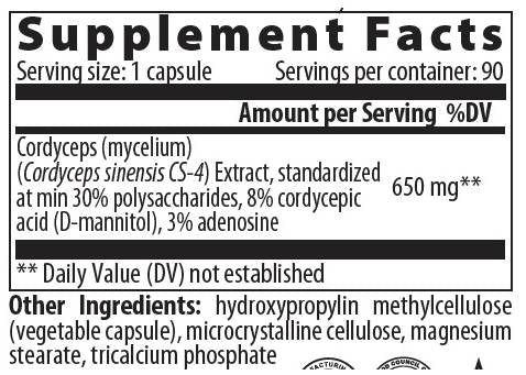 Cordyceps 650 mg - 60 capsules