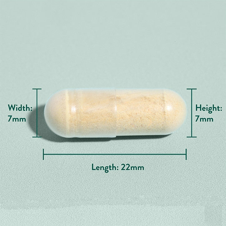 Extrait de chardon-lait (chardon-Marie) 30 capsules Holland & Barrett