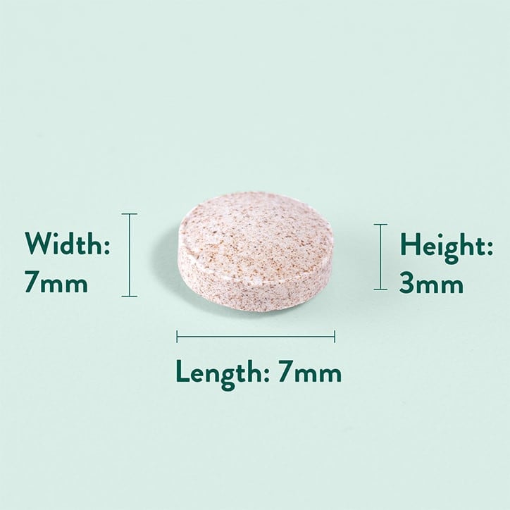 Cannelle 500mg 90 comprimés Holland & Barrett