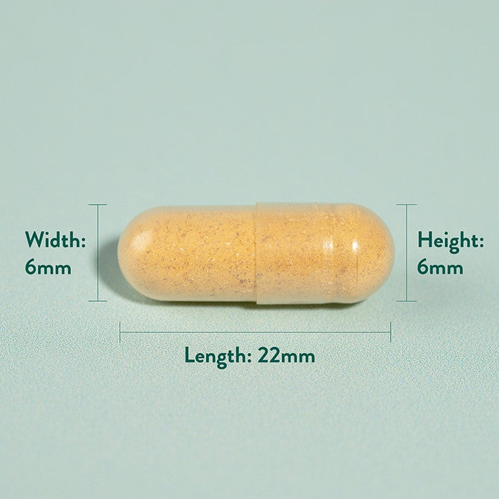 Curcuma 500mg 240 Capsules Holland & Barrett
