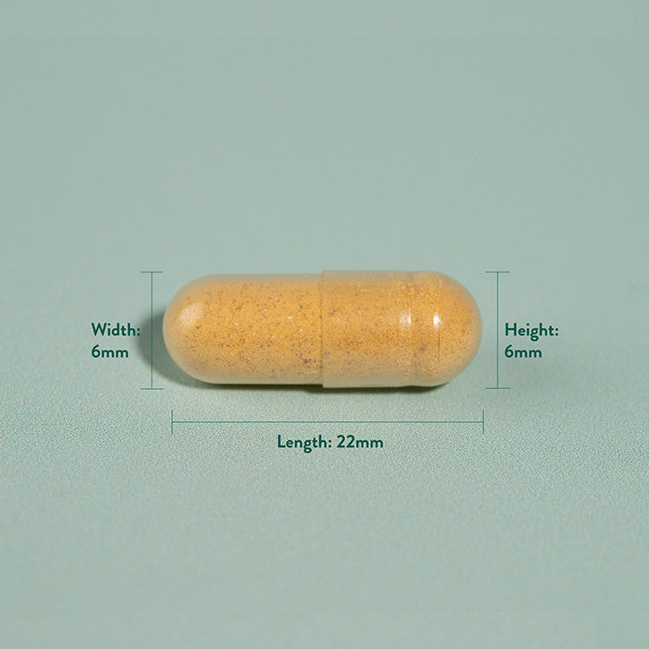 Curcuma 500mg 90 Capsules Holland & Barrett