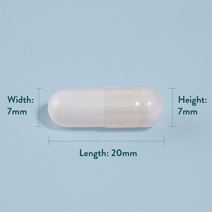 PE Nutrition | L-arginine 500 mg - 50 capsules