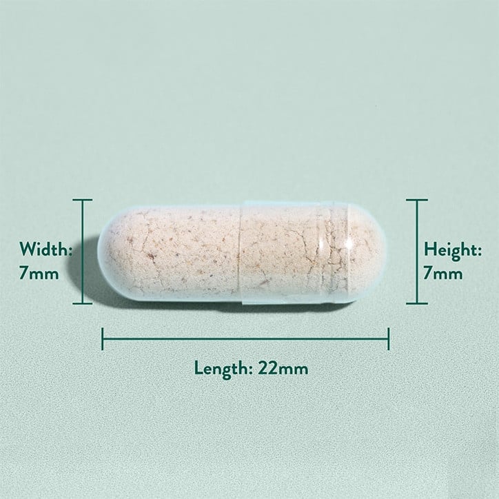 Psyllium Husk Fiber (Psyllium Husk) 500mg 180 Capsules Holland & Barrett