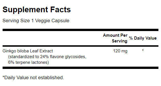 Ginkgo standardisé retardé 120 mg - 100 capsules