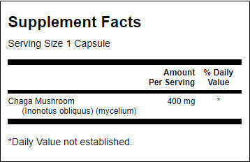 Champignon Chaga à spectre complet 400 mg - 60 capsules