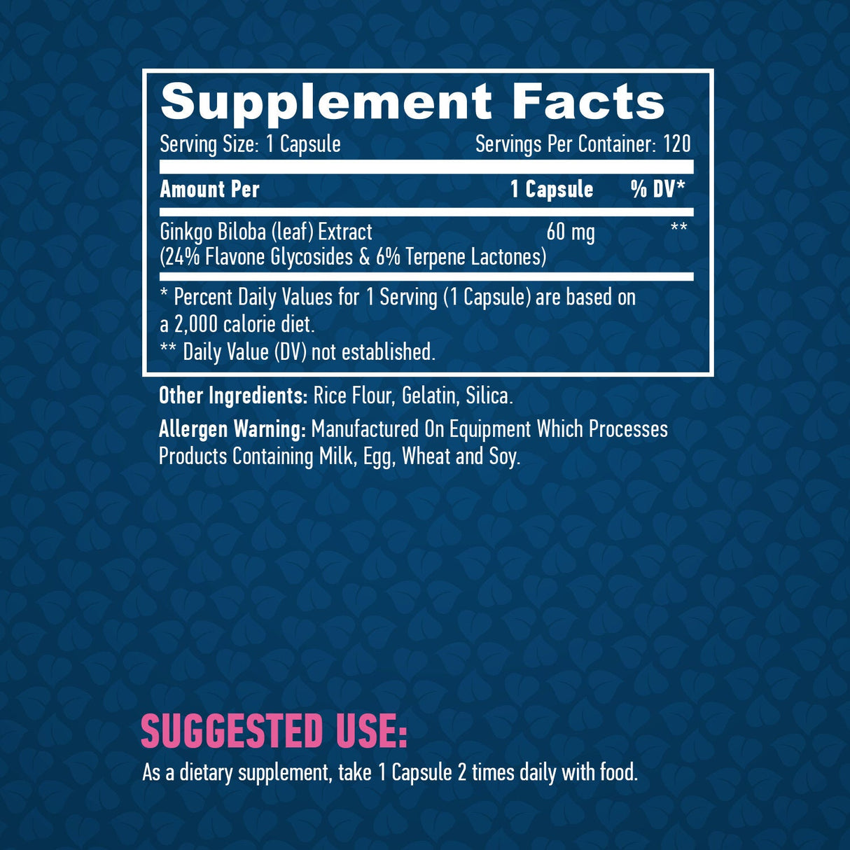 Ginkgo Biloba 60 mg./120 Caps.