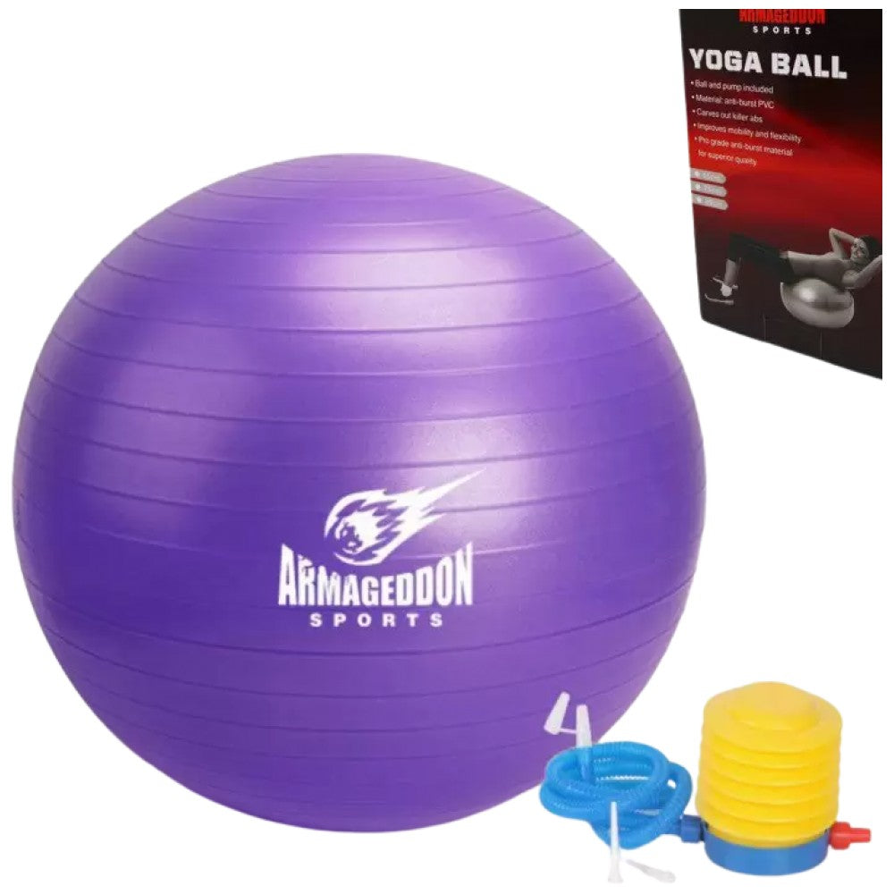 Boule de gymnastique avec une pompe 75 cm/balle de gymnastique avec une pompe 75 cm