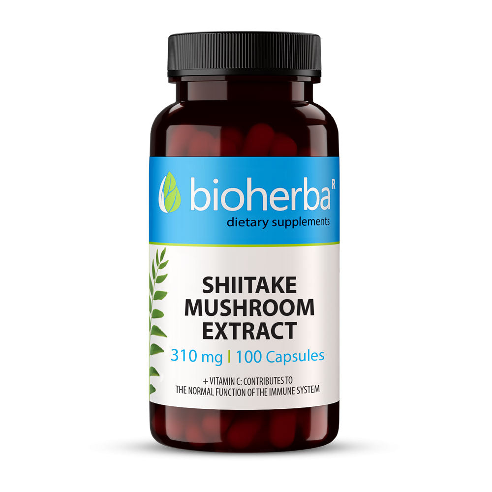 Extrait de champignons shiitake 310 mg - 100 capsules