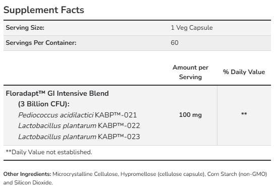 Support des bactéries intestinales | avec 3 milliards de cellules actives - 60 capsules