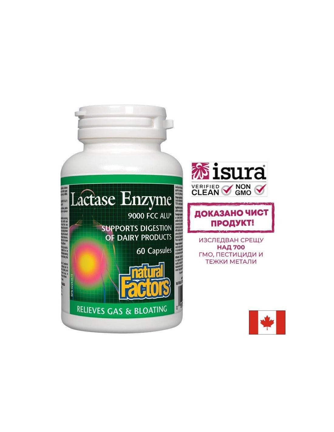 Enzyme lactase 250 mg - 60 capsules