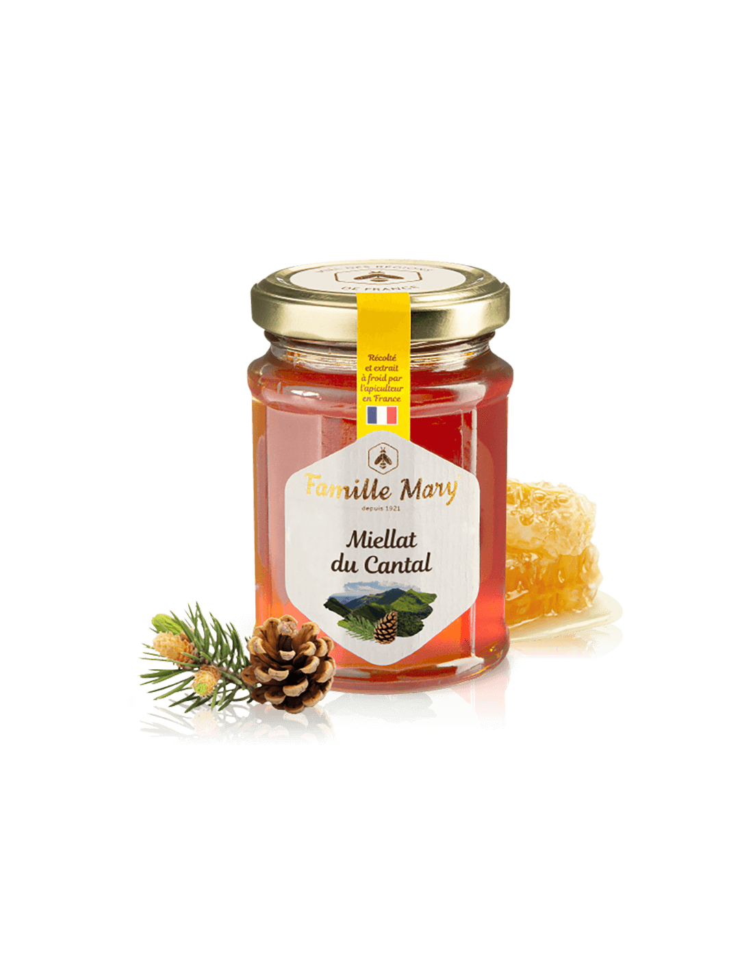 Miellat du Cantal/Honey d'abeille (miellat) des aiguilles de pin, 230 G Famille Mary
