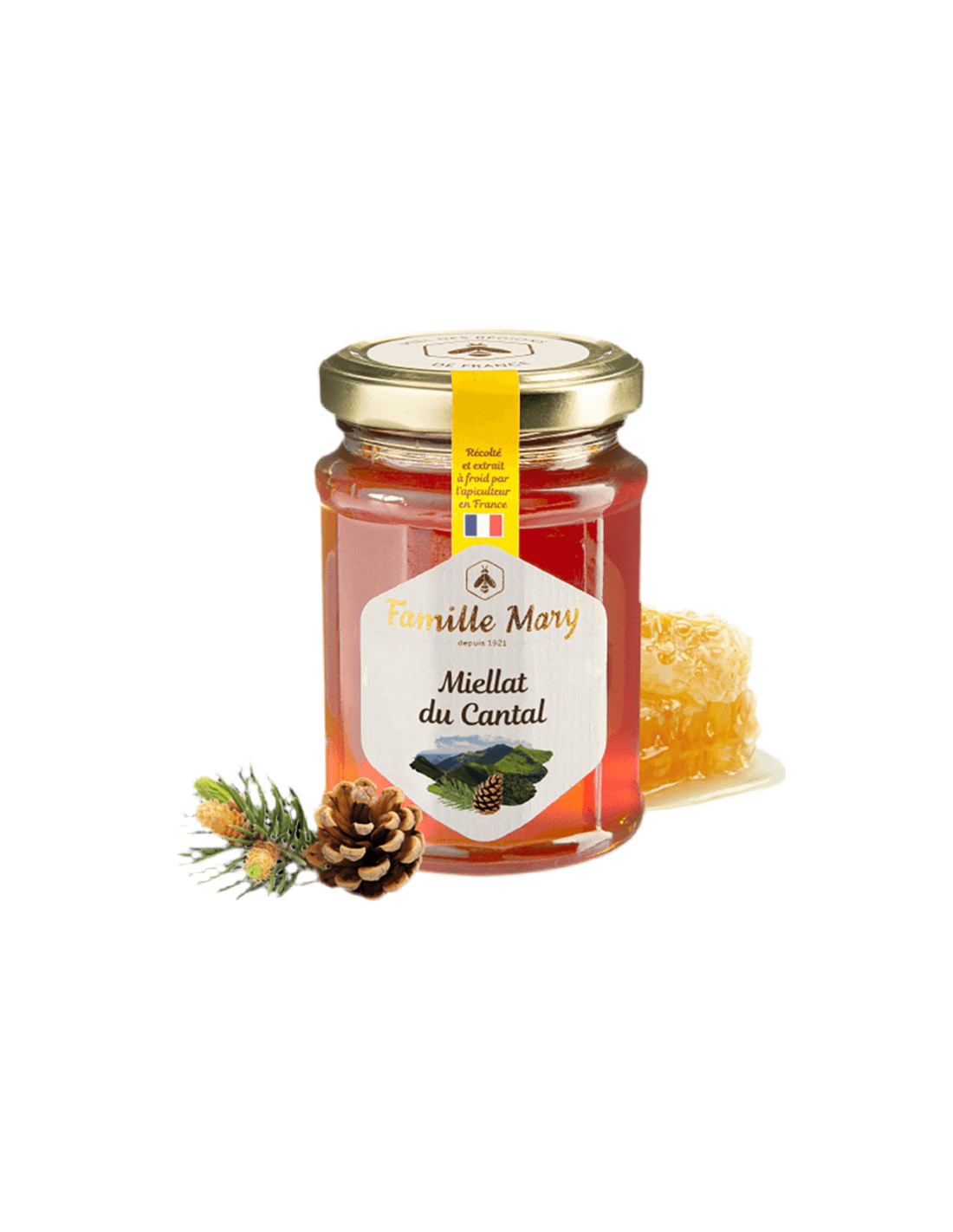 Miellat du Cantal/Honey d'abeille (miellat) des aiguilles de pin, 230 G Famille Mary