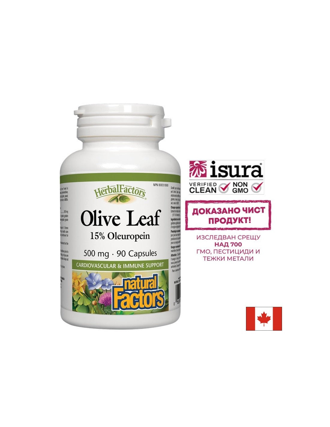 Feuille d'olive 500 mg - 90 capsules