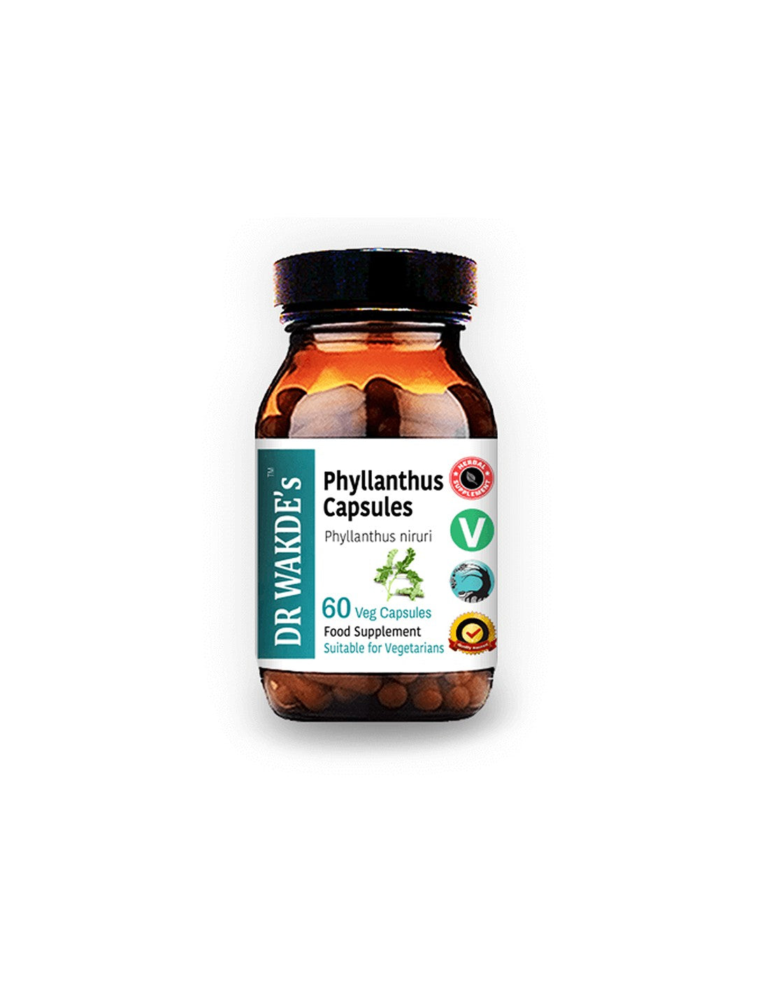 Phyllanthus - Pour les maladies du foie et de la rate, goutte, 60 capsules