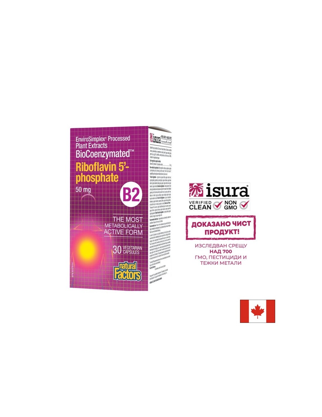 Riboflavine biocoenzymée 5 phosphate B2 50 mg - 30 capsules