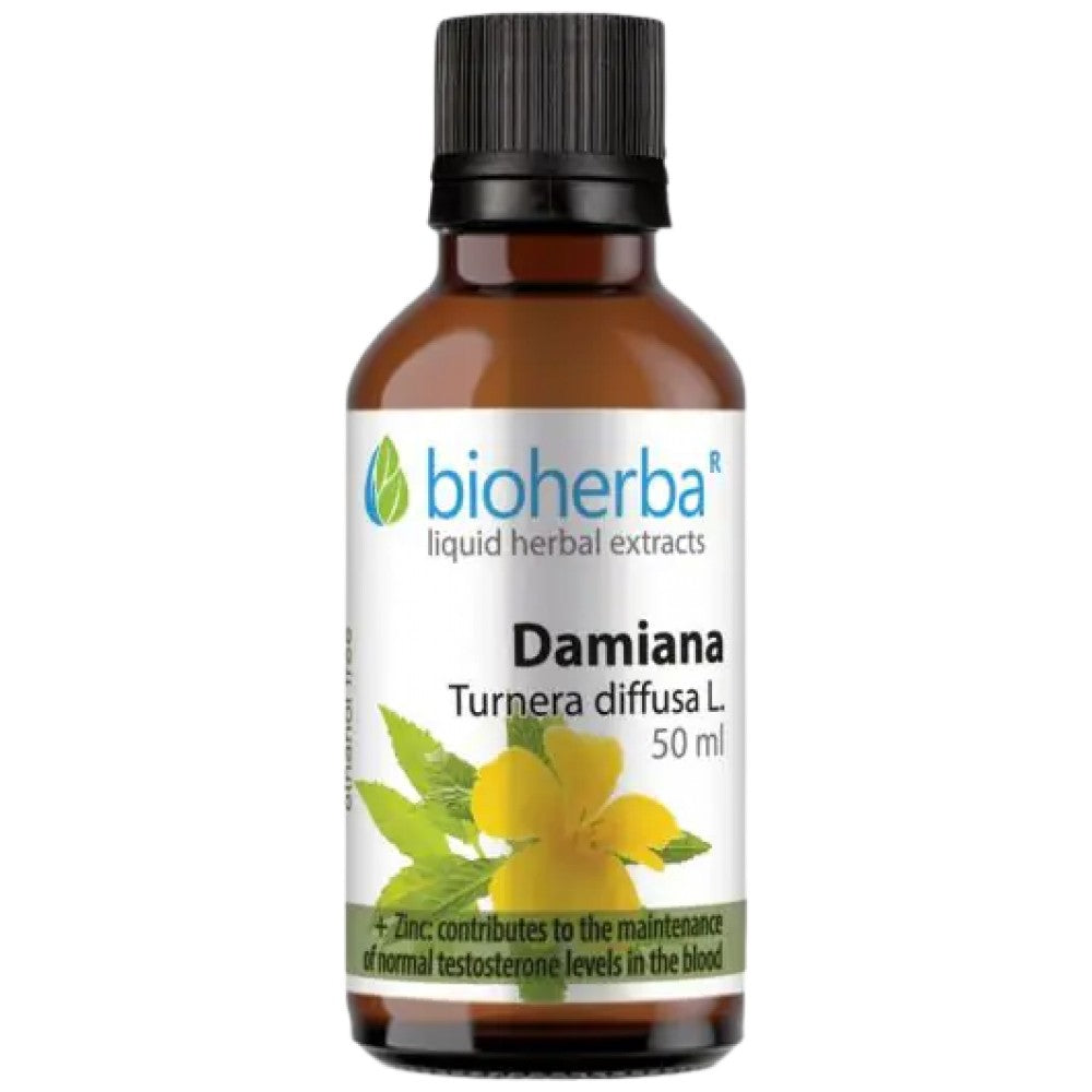 Feuilles de la teinture Damiana - 50 ml