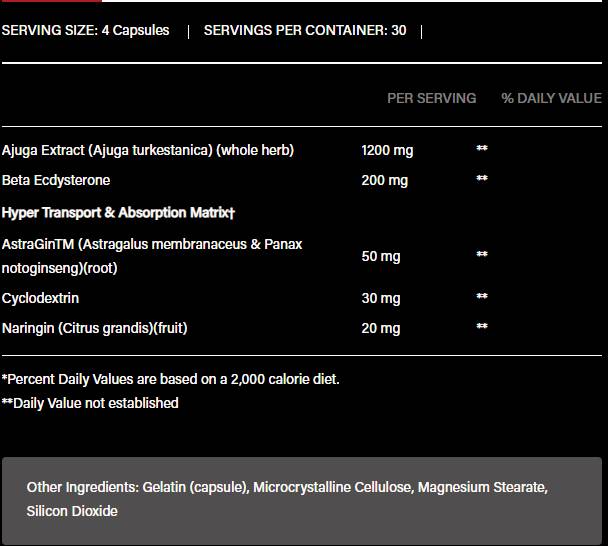Turkesterone 1200 | avec bêta-ecdysterone et astragin - 120 capsules
