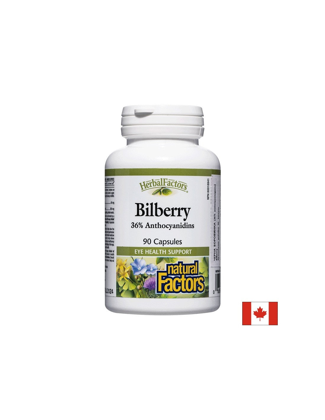 Bilberry 345 mg - 90 capsules