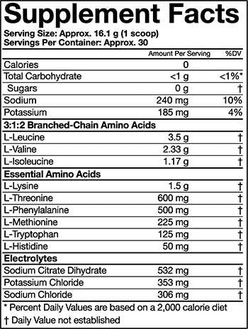 Combat BCAA + récupération 483 grammes
