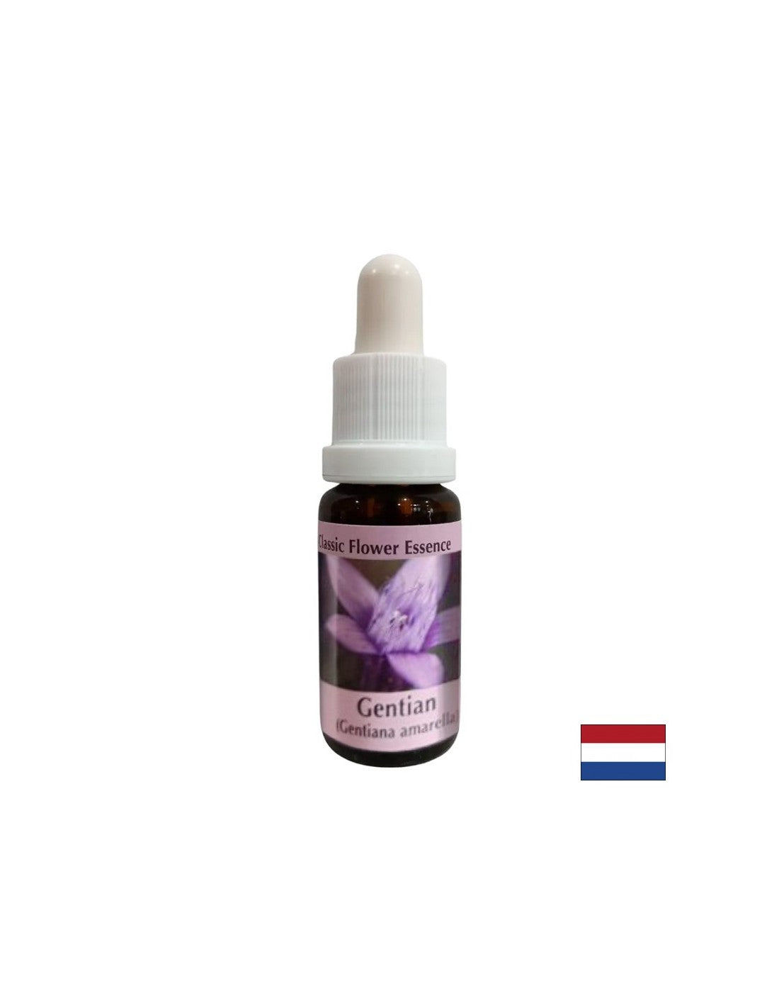 Donne confiance - Gentian Essence n ° 12, tombe 15 ml