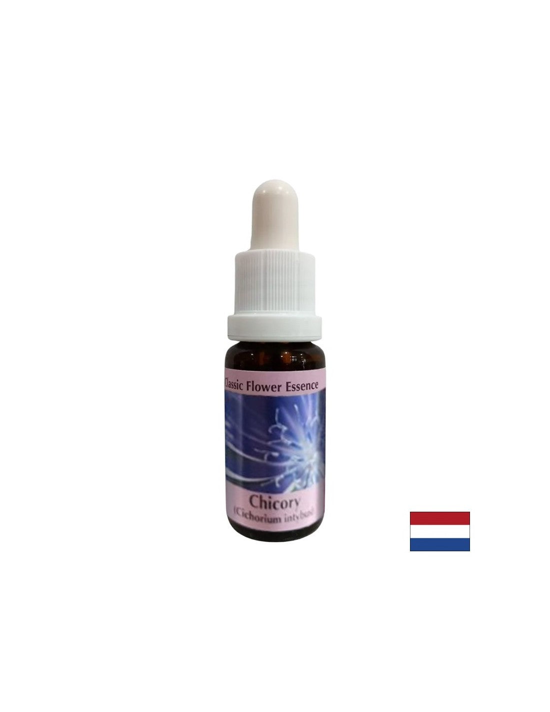 To focus on yourself - Chicory Essence No. 8, drops 15 ml - Nutra Best Europe