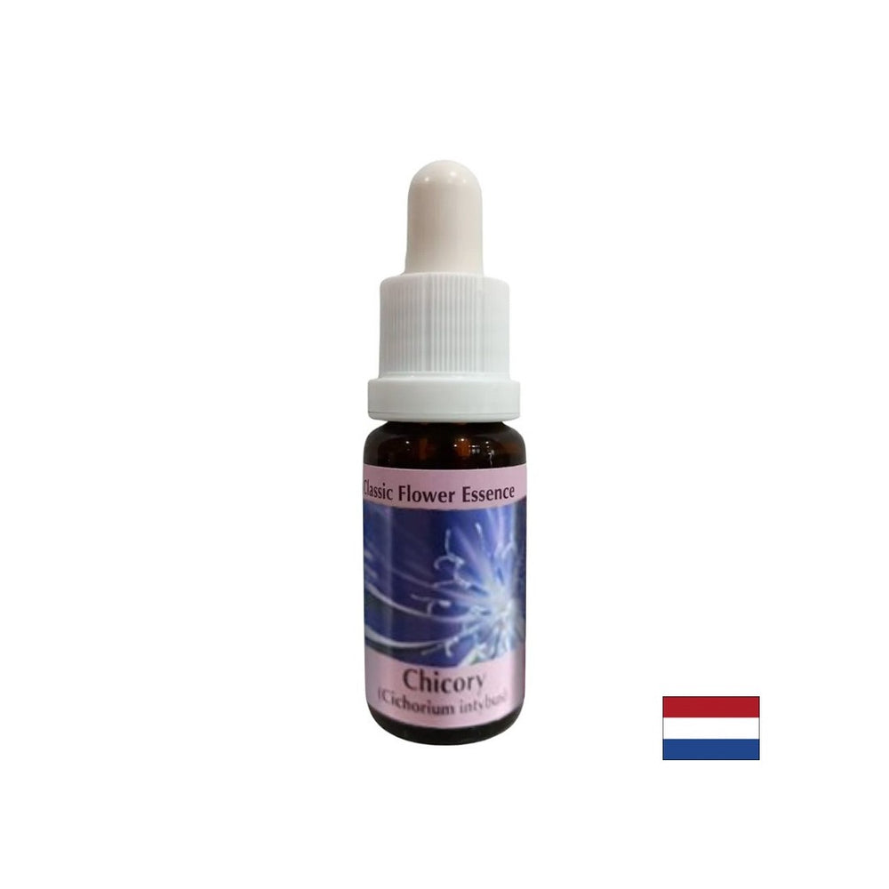 To focus on yourself - Chicory Essence No. 8, drops 15 ml - Nutra Best Europe