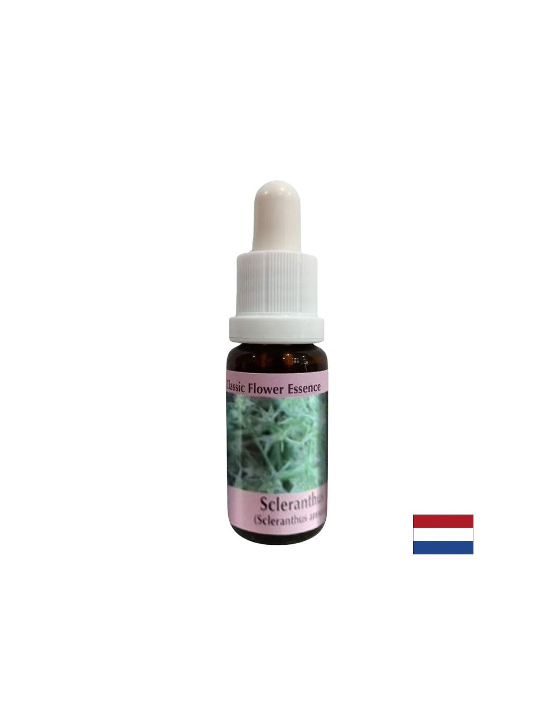 Pour l'équilibre interne - Essence du cartilage n ° 28, tombe 15 ml