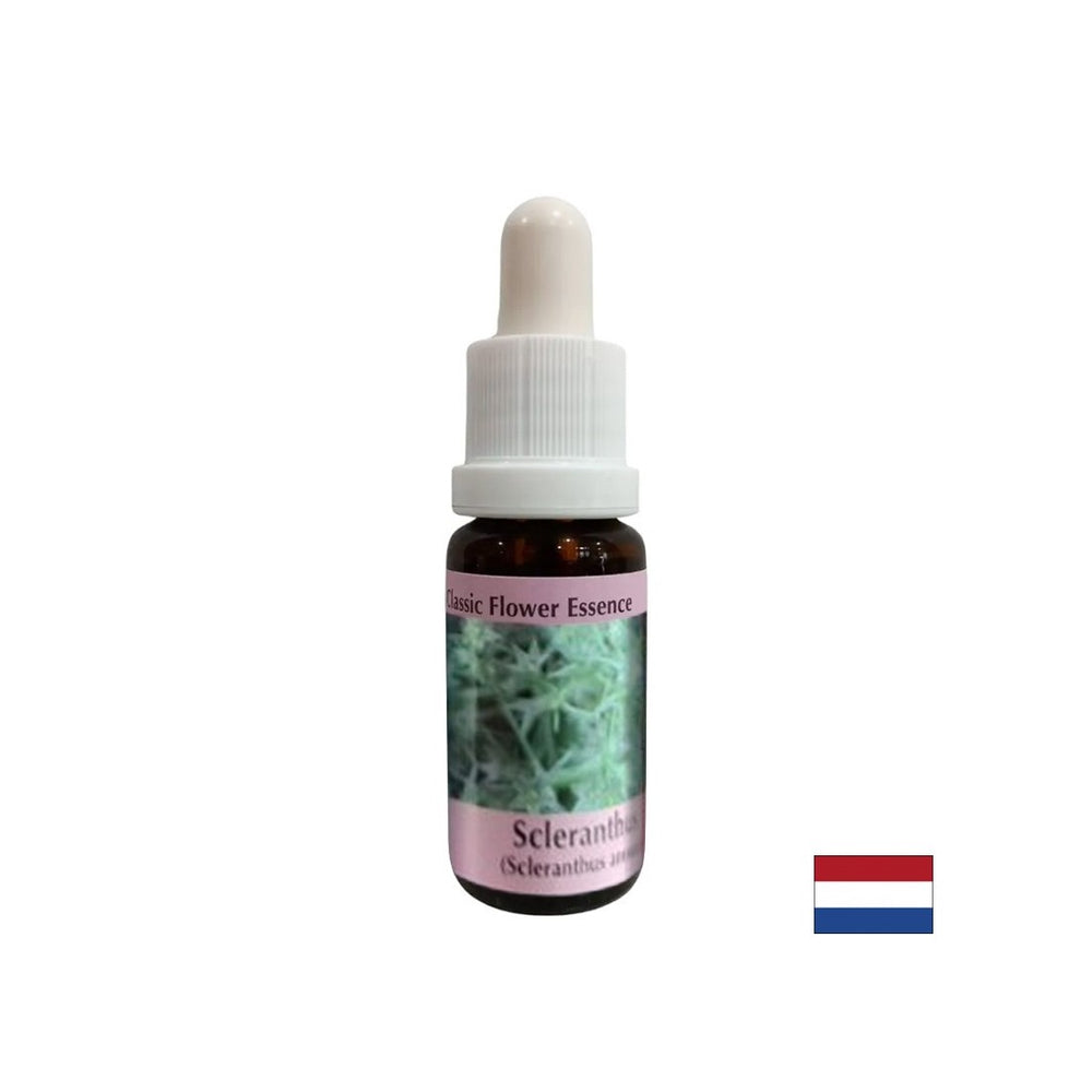 Pour l'équilibre interne - Essence du cartilage n ° 28, tombe 15 ml