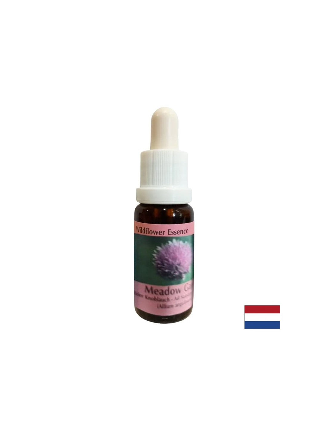 Stimule la volonté et le métabolisme - l'essence oignon n ° 39, tombe 15 ml
