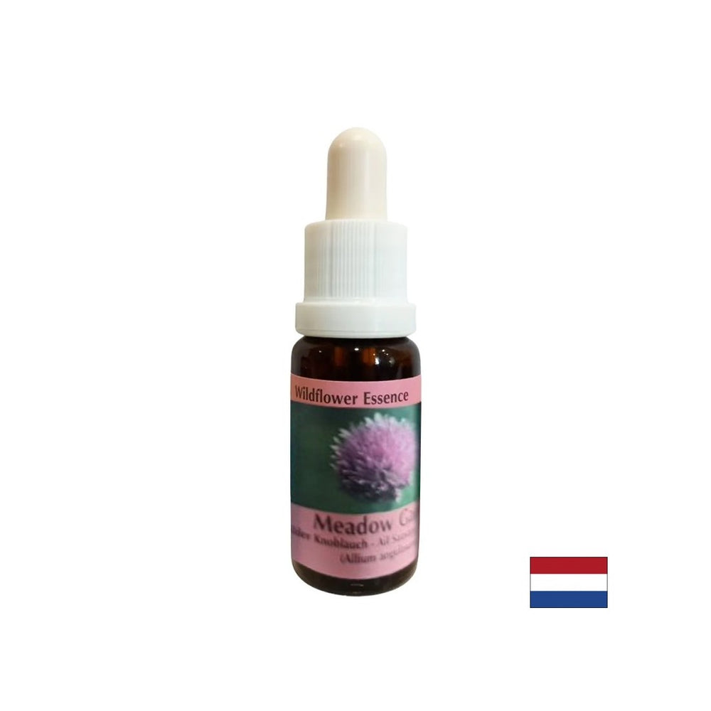 Stimule la volonté et le métabolisme - l'essence oignon n ° 39, tombe 15 ml