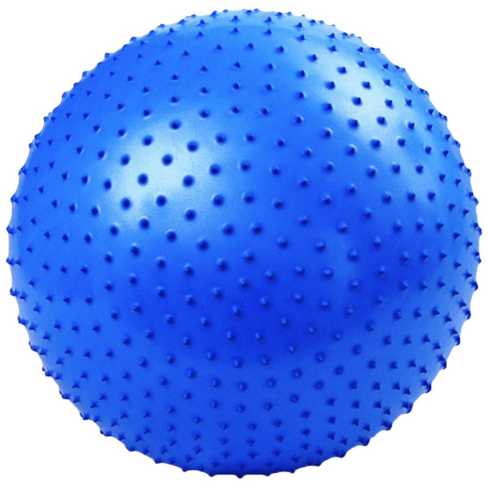Boule de fitness de massage avec une pompe 65 cm/balle de fitness de massage avec une pompe 65 cm