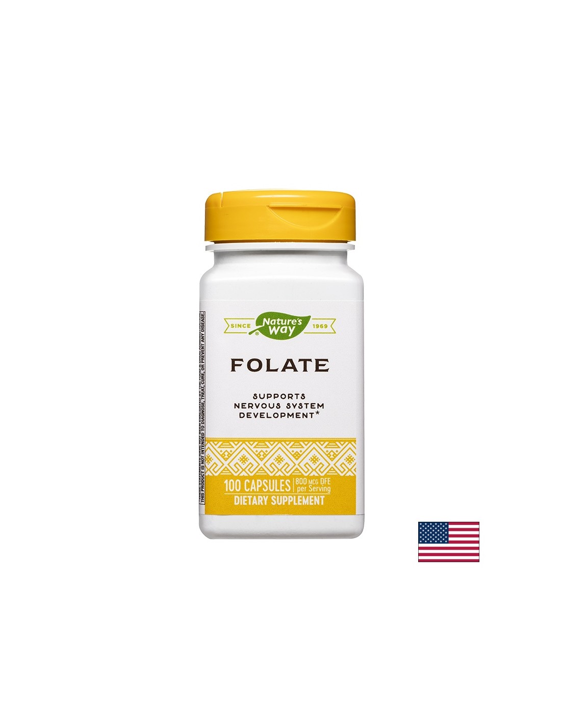 Folique - Folique 800 µg/acide folique 480 µg, 100 capsules Nature's Way