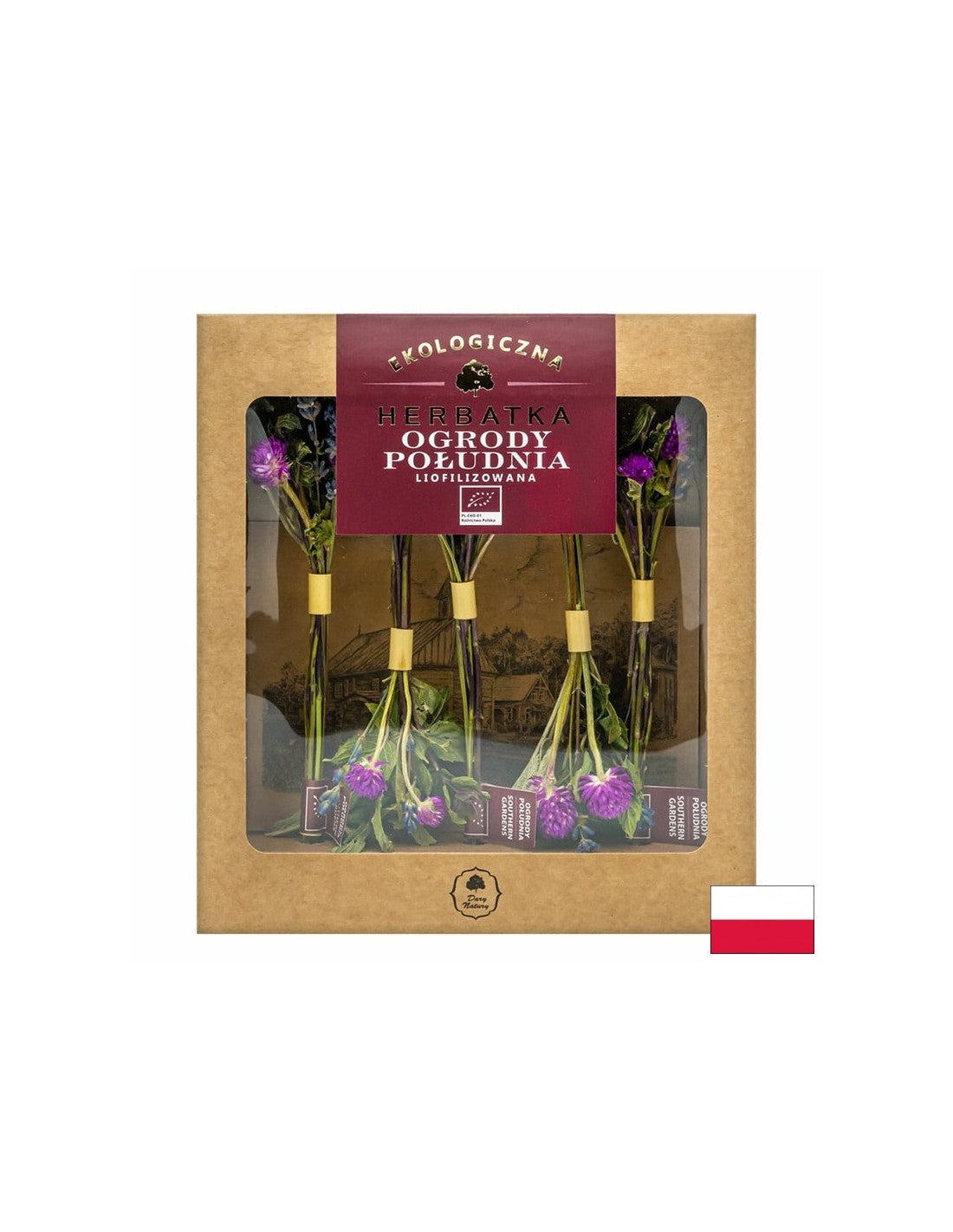 Thé lyophilisé South Garden Bio, 10 g <tc>Dary Natury</tc>