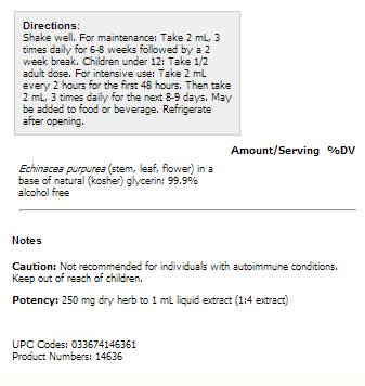 Échinacée 30 ml - 30 ml