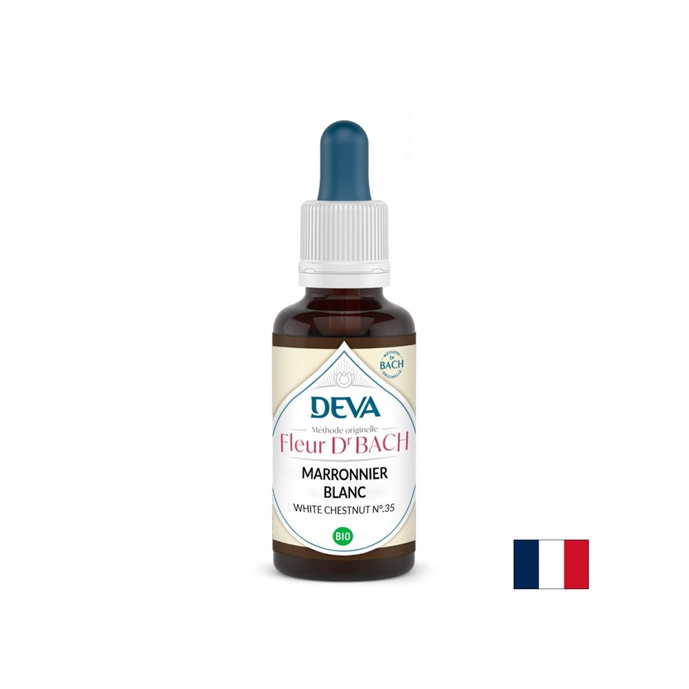 Mémoire et concentration - châtaignier à cheval, bach n ° 35, 15 ml